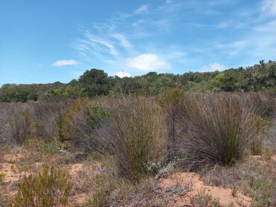 3 Bedroom Property for Sale in Stilbaai Rural Western Cape